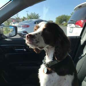 Meet your Posher, Carrie